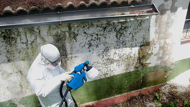 Top rated local Mold Remediation specialists in Newberg, OR